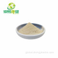 China Ginseng Extract Powder 80% Ginsenosides UV Supplier